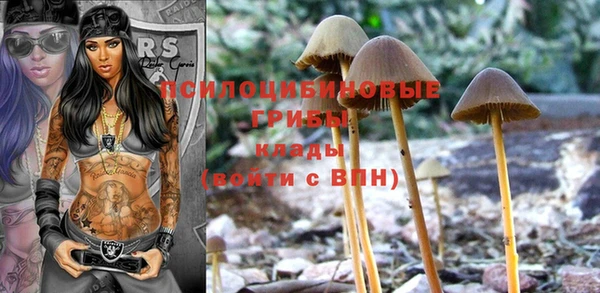 ALPHA-PVP Волоколамск