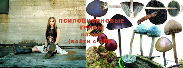 PSILOCYBIN Володарск