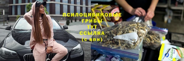 PSILOCYBIN Володарск