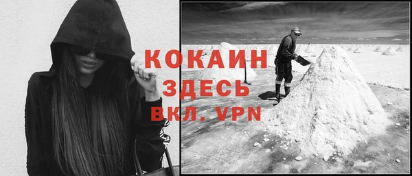 прущие грибы Пенза