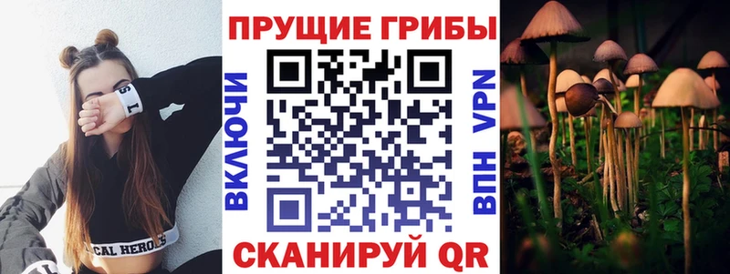 ОМГ ОМГ   купить наркотики цена  Елец  Псилоцибиновые грибы Psilocybe 